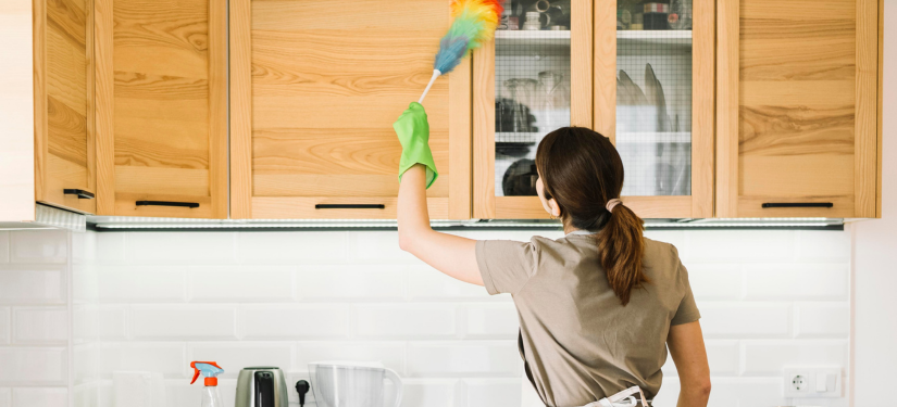 Acesse a notícia completa: Turma Recursal da PB garante aposentadoria a trabalhadora doméstica com vínculo reconhecido antes da regulamentação da profissão 