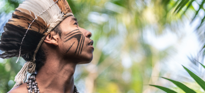 Acesse a notícia completa: CNJ promove reunião sobre acesso ao Judiciário pelos povos indígenas 